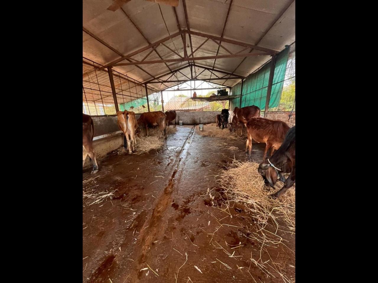 Farm stay Nehamrit Farmstays With Pool, Near Malshej Ghat Murbad